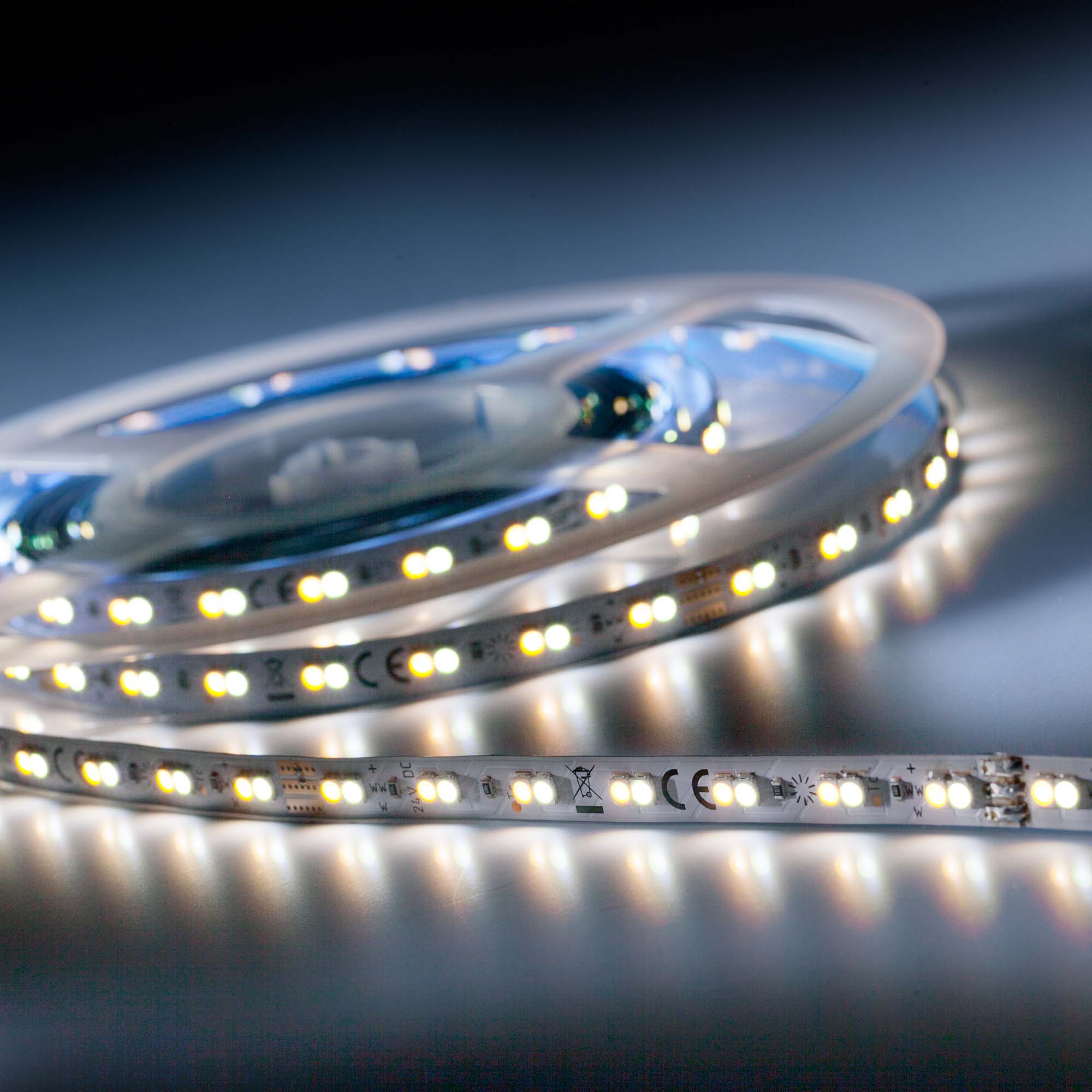 LumiFlex 700 Economy Striscia LED TW 2700-6500K 2100lm 24V 140 LED/m 5m bobina (820lm/m 4.8W/m)
