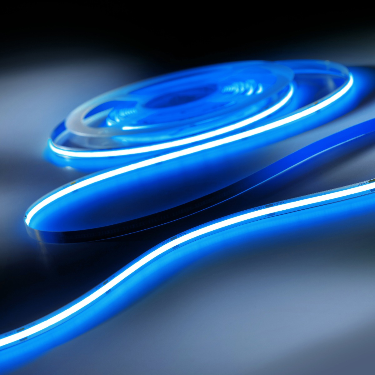 Striscia LED COB LumiFlex a luce continua Blu 590lm 24V 5m in rotolo (118lm/m e 6,68W/m)