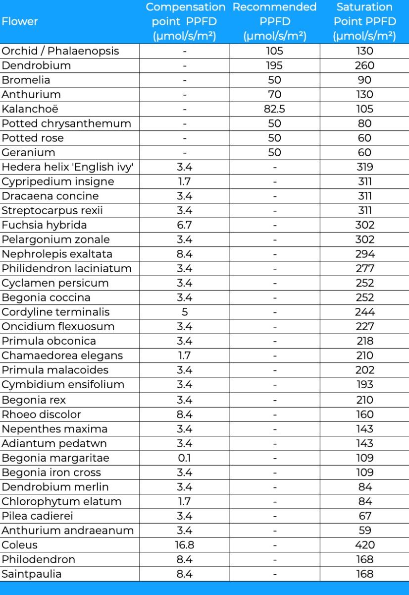 PPFD values for potted flowers and decorative plants