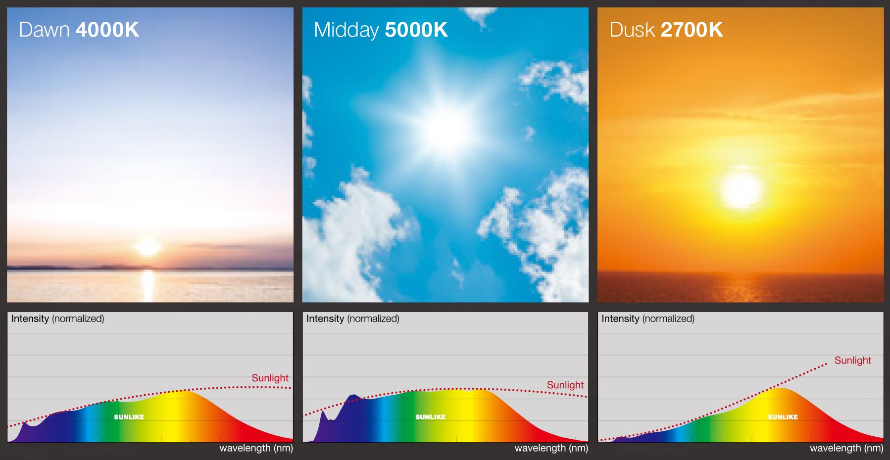 SunLike Human Centric lighting via Casambi app
